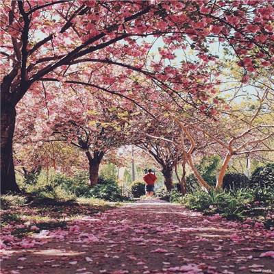 以媒:伊朗伊斯兰革命卫队海军指挥官身亡!其负责封锁霍尔木兹海峡