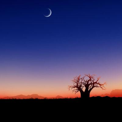 特朗普和共和党全国委员会倾向于在达拉斯举办中期选举大会。